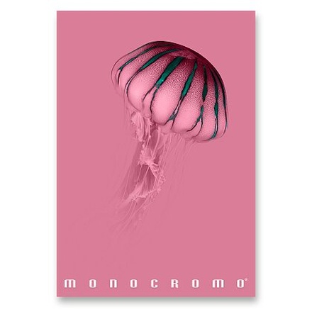Papírenské zboží - Školní sešit Pigna Monocromo Pink - A4, linkovaný, 38 listů, mix motivů