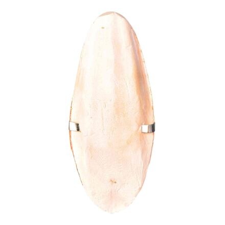 Papírenské zboží - Sepiová kost s držátkem 12cm  TRIXIE 