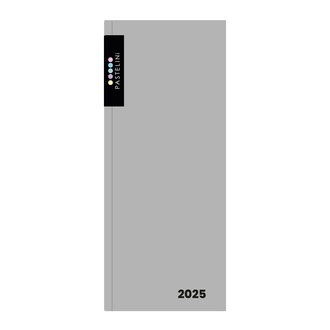 Papírenské zboží - Diář PVC měsíční 2025 PASTELINI šedá
