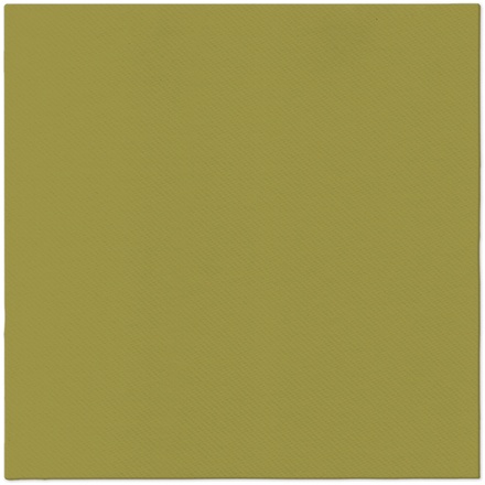 Papírenské zboží - Ubrousky PAW AIRLAID L 40x40cm Monocolor olive [50 ks]