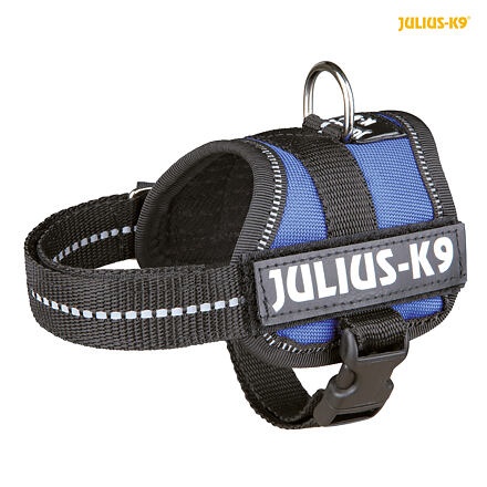 Papírenské zboží - Julius-K9 silový postroj Baby 2/XS-S 33-45 cm,  - modrá 