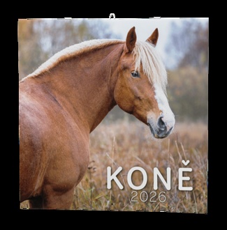 Papírenské zboží - Nástěnný kalendář - Koně