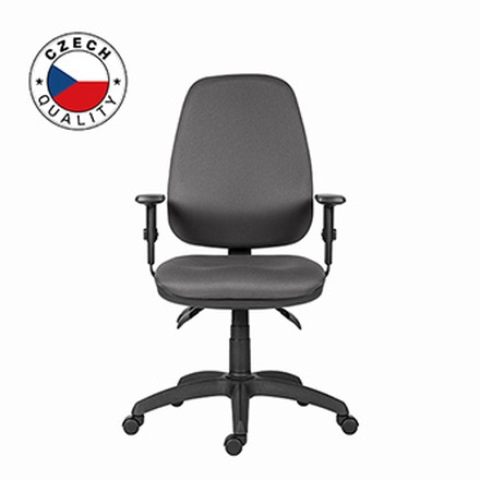 Papírenské zboží - Powerton Kancelářské ergonomické křeslo Anna, Šedé