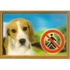 Papírenské zboží - 3D kutyacímke, Beagle