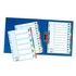 Papírenské zboží - Esselte karton színelválasztók, A4, Színkeverék