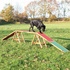 Papírenské zboží - Dog Activity AGILITY edzőhíd 456x64x30 cm