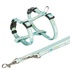 Papírenské zboží - JUNIOR hám pórázzal kölyökkutyáknak, menta M-L: 27-45 cm/10 mm, 2,00 m