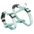 Papírenské zboží - JUNIOR hám pórázzal kölyökkutyáknak, menta M-L: 27-45 cm/10 mm, 2,00 m