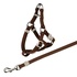 Papírenské zboží - Nylon macskahám pórázzal 26-37cm/10mm, 1,20m
