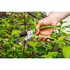 Papírenské zboží - Verto olló növényekhez és bokrokhoz 15G201, 10mm