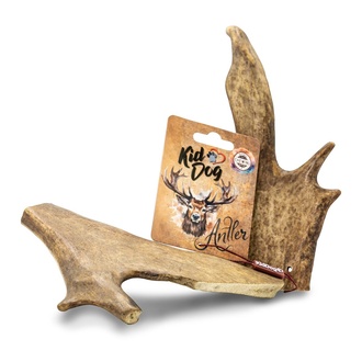 Papírenské zboží - KIDDOG Antler, dančí paroh - XL